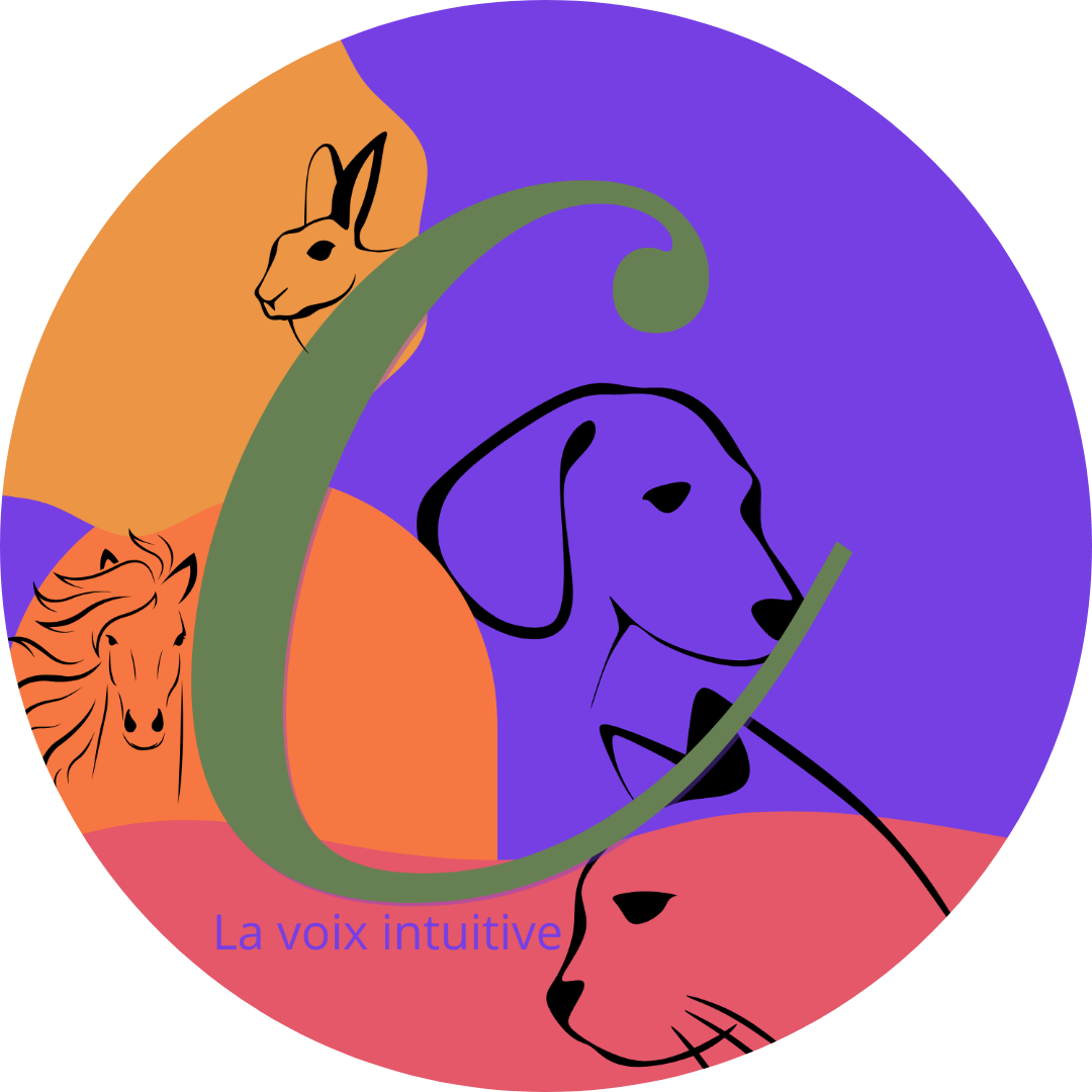 lavoixintuitive.fr